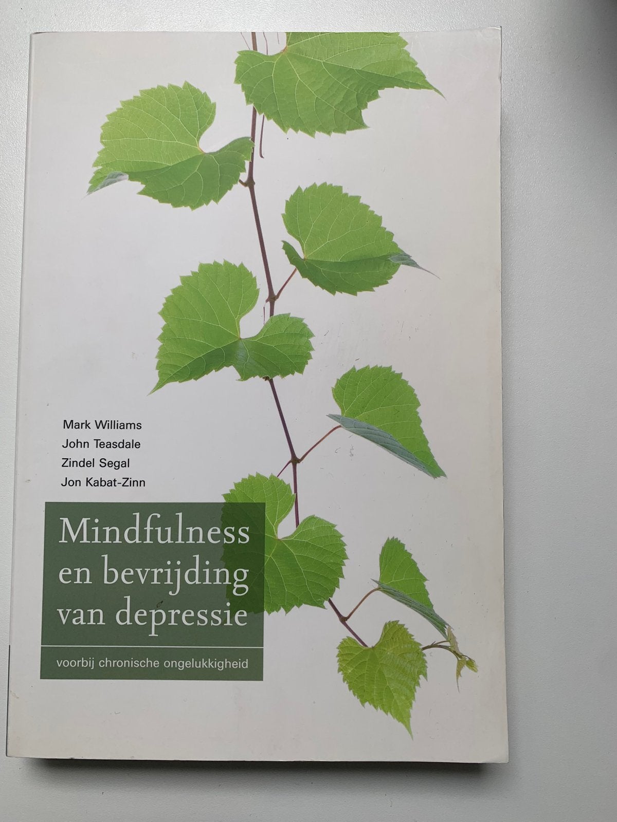 Mindfulness en bevrijding van depressie, Boeken, Ophalen of Verzenden, Zo goed als nieuw, Klinische psychologie