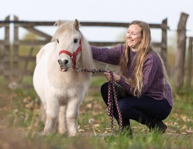 Paardencoaching in Liempde, Hobby en Vrije tijd, Overige Hobby en Vrije tijd, Ophalen of Verzenden