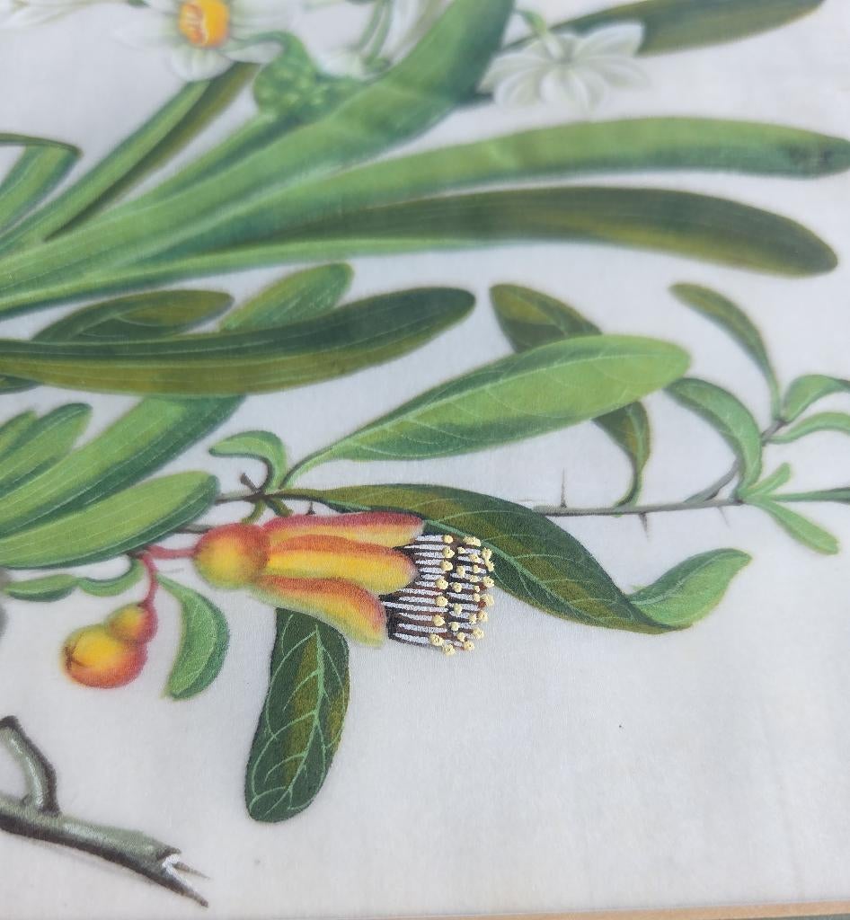 Antiek chinees schilderij rijstpapier bloemen vlinders China, Ophalen of Verzenden