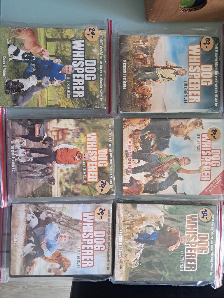 Dog Whisperer DVD Boxset - Seizoenen 1 t/m 5, Alle leeftijden, Inclusief doosje, Ophalen of Verzenden, Non-fictie