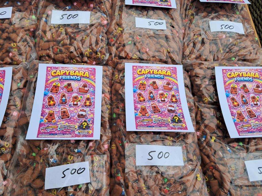 Capybara friends mini, Ophalen of Verzenden, Nieuw, Borduurpakket