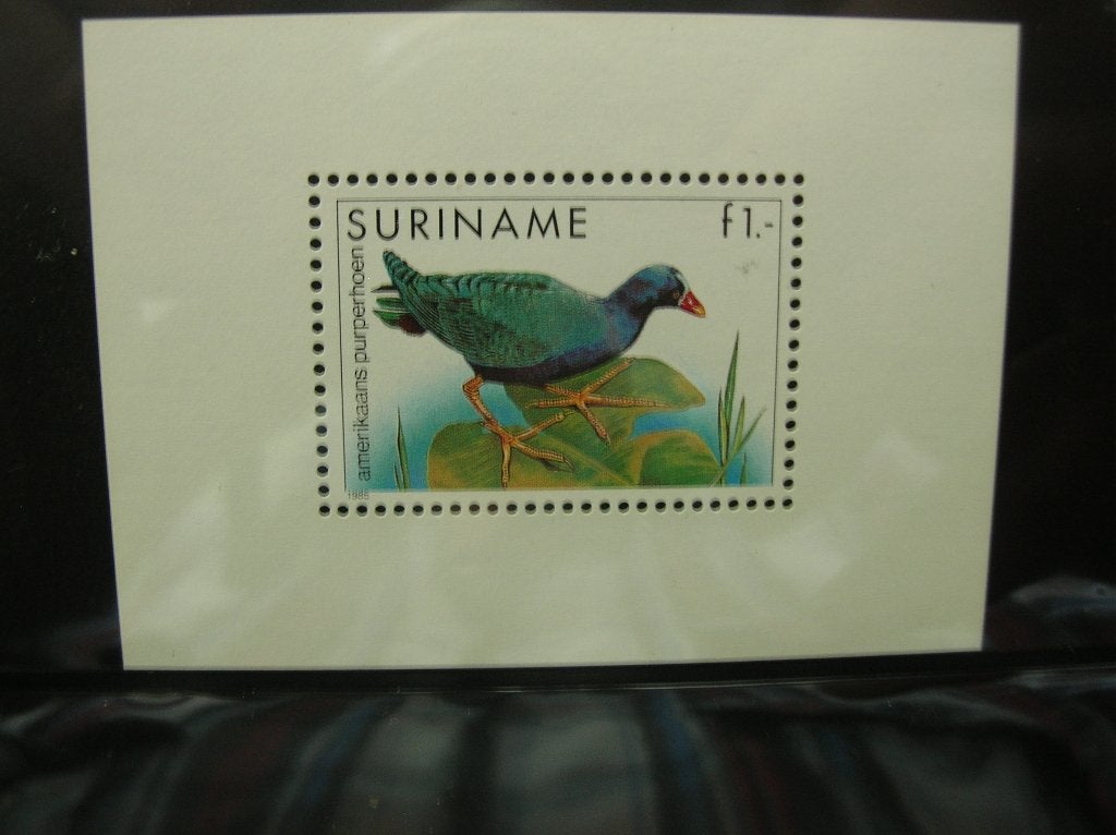 Suriname 1985 Tropische vogels, Verzenden, Postfris