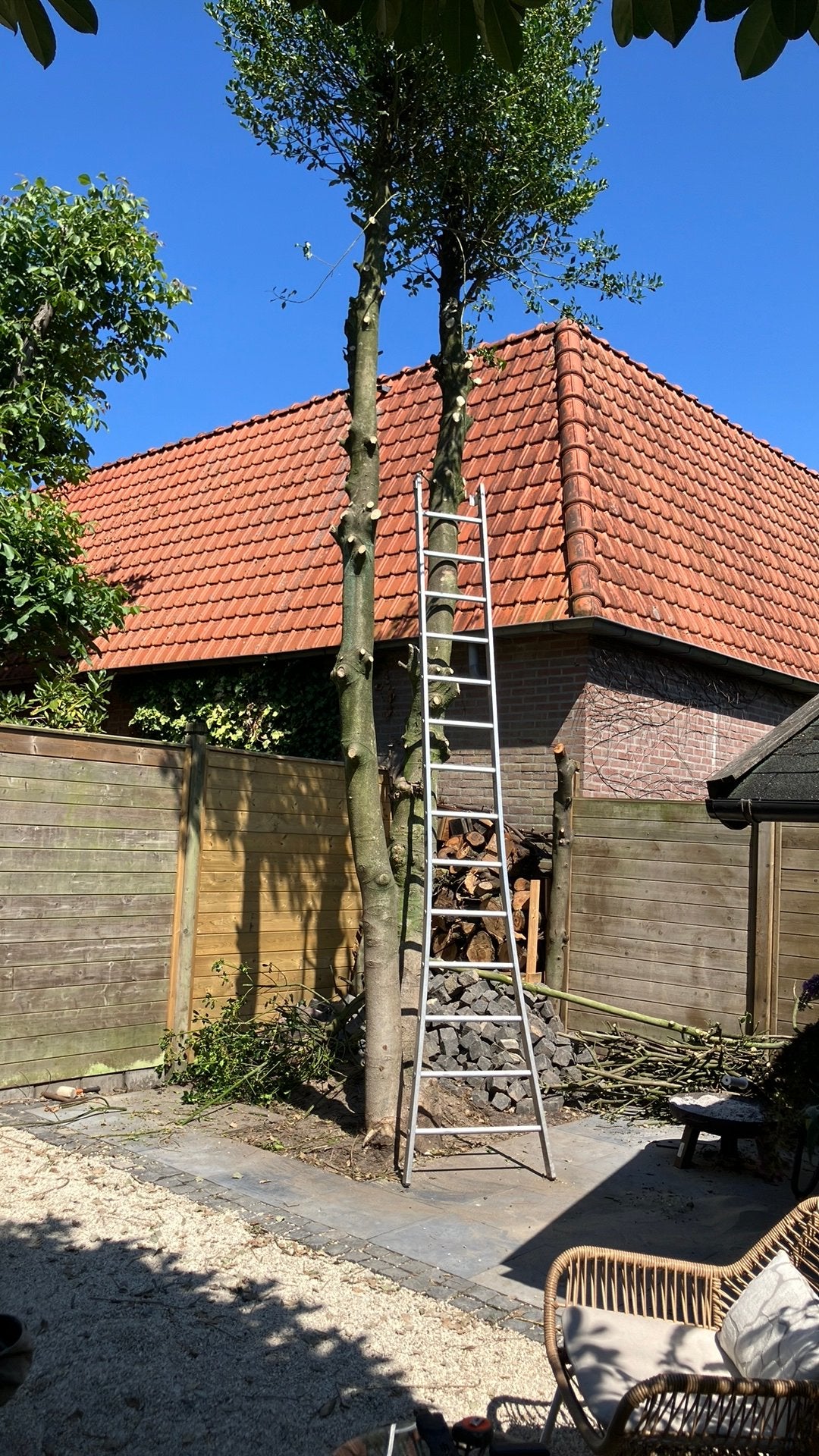 Hulsthout, Ophalen, Zo goed als nieuw, 50 mm of meer, Balk