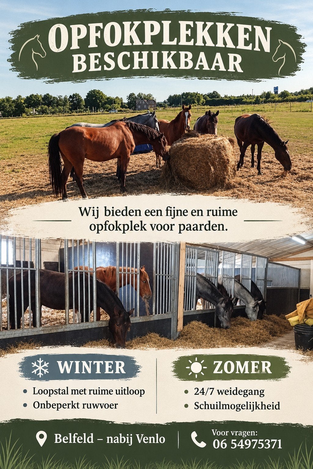 opfok plek beschikbaar Belfeld, Opfok, 2 of 3 paarden of pony's