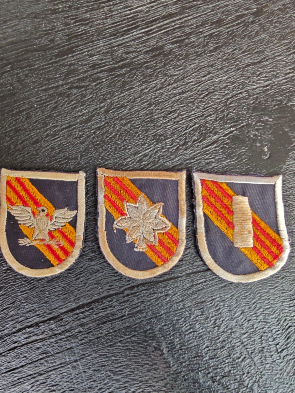Vietnam War 5th Special Forces Group  Colonel's .. Luitenant, Ophalen of Verzenden, Landmacht, Amerika, Embleem of Badge