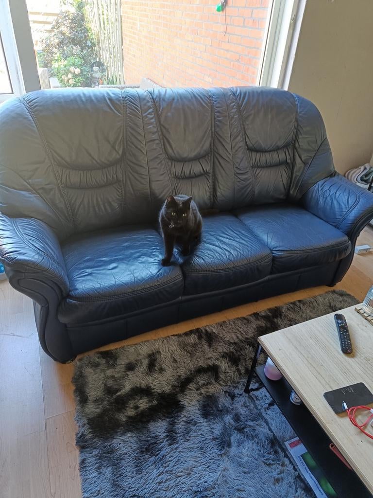 Leren 3-zitsbank en fauteuil - Donkerblauw, Huis en Inrichting, Banken | Bankstellen, Gebruikt, Rechte bank, Driepersoons, 200 tot 250 cm
