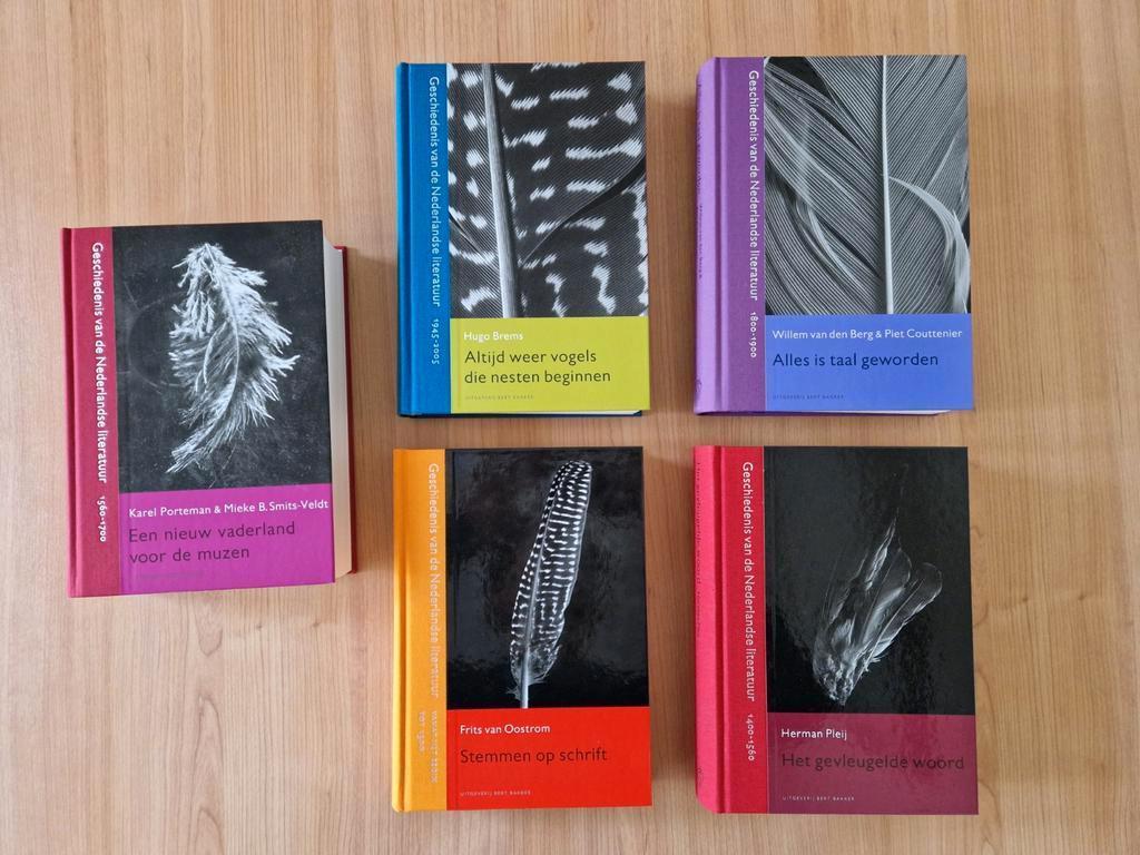 Geschiedenis van de Nederlandse literatuur - diverse delen, Ophalen of Verzenden, Nieuw