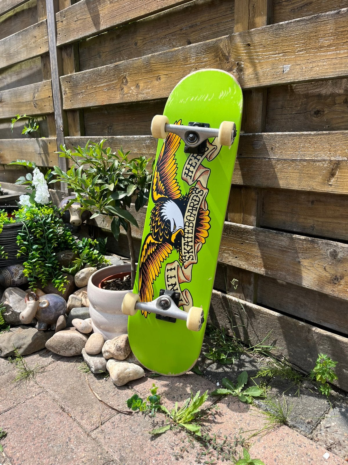 Anti Hero Complete Skateboard 8.0”, Sport en Fitness, Skateboarden, Ophalen, Nieuw, Skateboard, Longboard