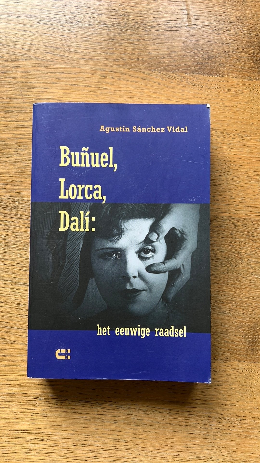A. Sanchez Vidal - Bunuel, Lorca, Dali, Boeken, Literatuur, Zo goed als nieuw, Ophalen of Verzenden