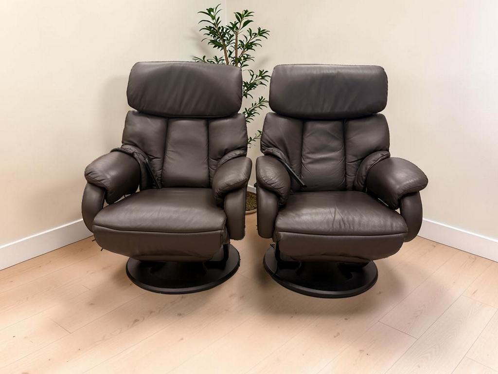 Set Cosyform Relax fauteuils relax stoel relaxfauteuil ZGAN, Ophalen, N, N, Zo goed als nieuw