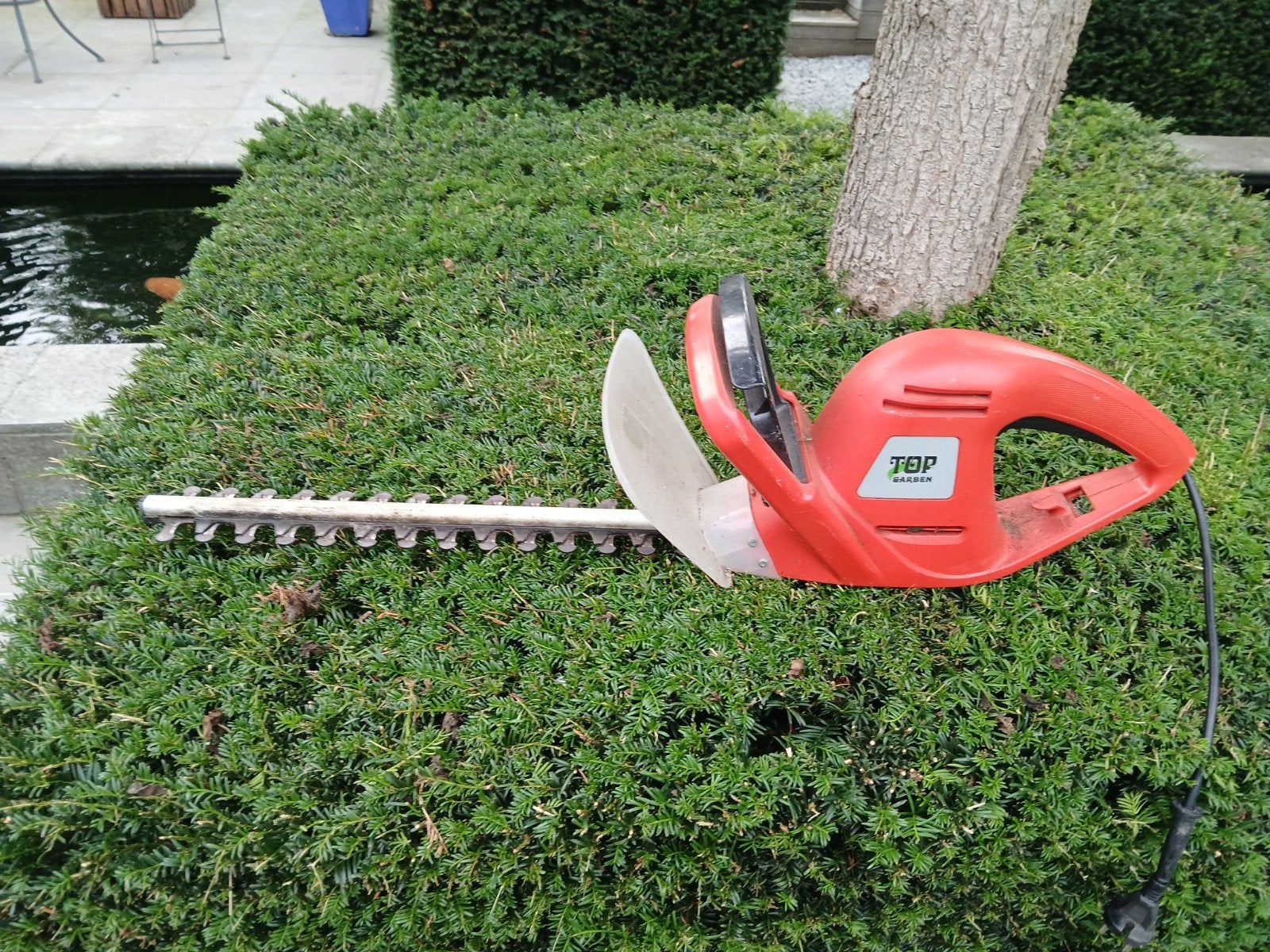 Elektrische heggenschaar Top Garden 220V met beschermhoes, Ophalen, Gebruikt, Elektrisch, Top Garden