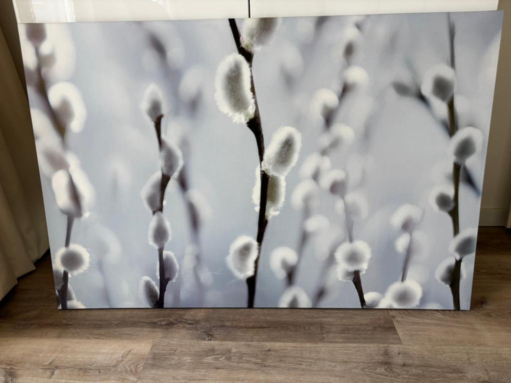 Vintage Ikea: Catkins van Ian Winstanley uit 2007, Ophalen, Zo goed als nieuw, Schilderij, 75 cm of meer