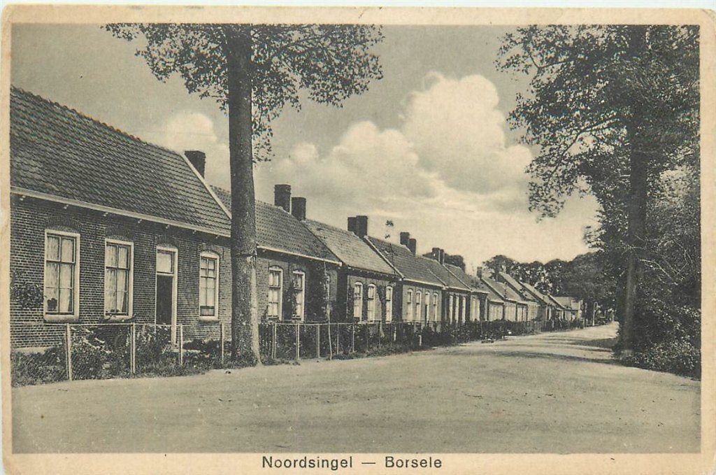 701-431-019 Borssele Noordsingel, Verzenden, Voor 1920, Zeeland