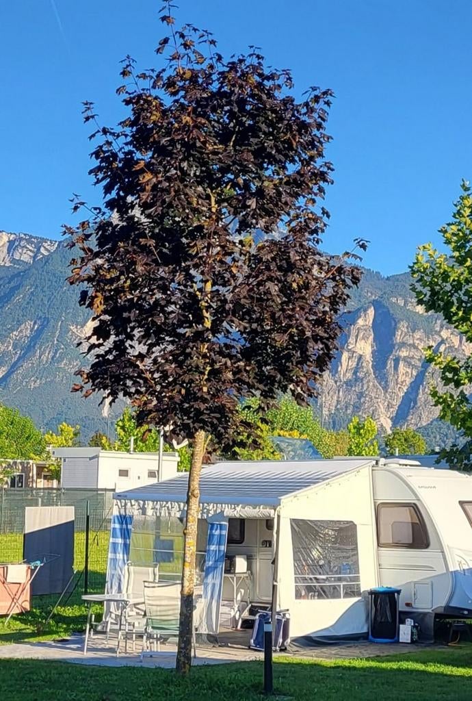 Luifeltent Safari Omnistore Residence., Ophalen, Gebruikt