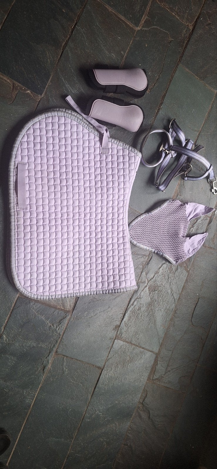Springset cob, Dieren en Toebehoren, Cob (M), Ophalen of Verzenden, Gebruikt, Paars