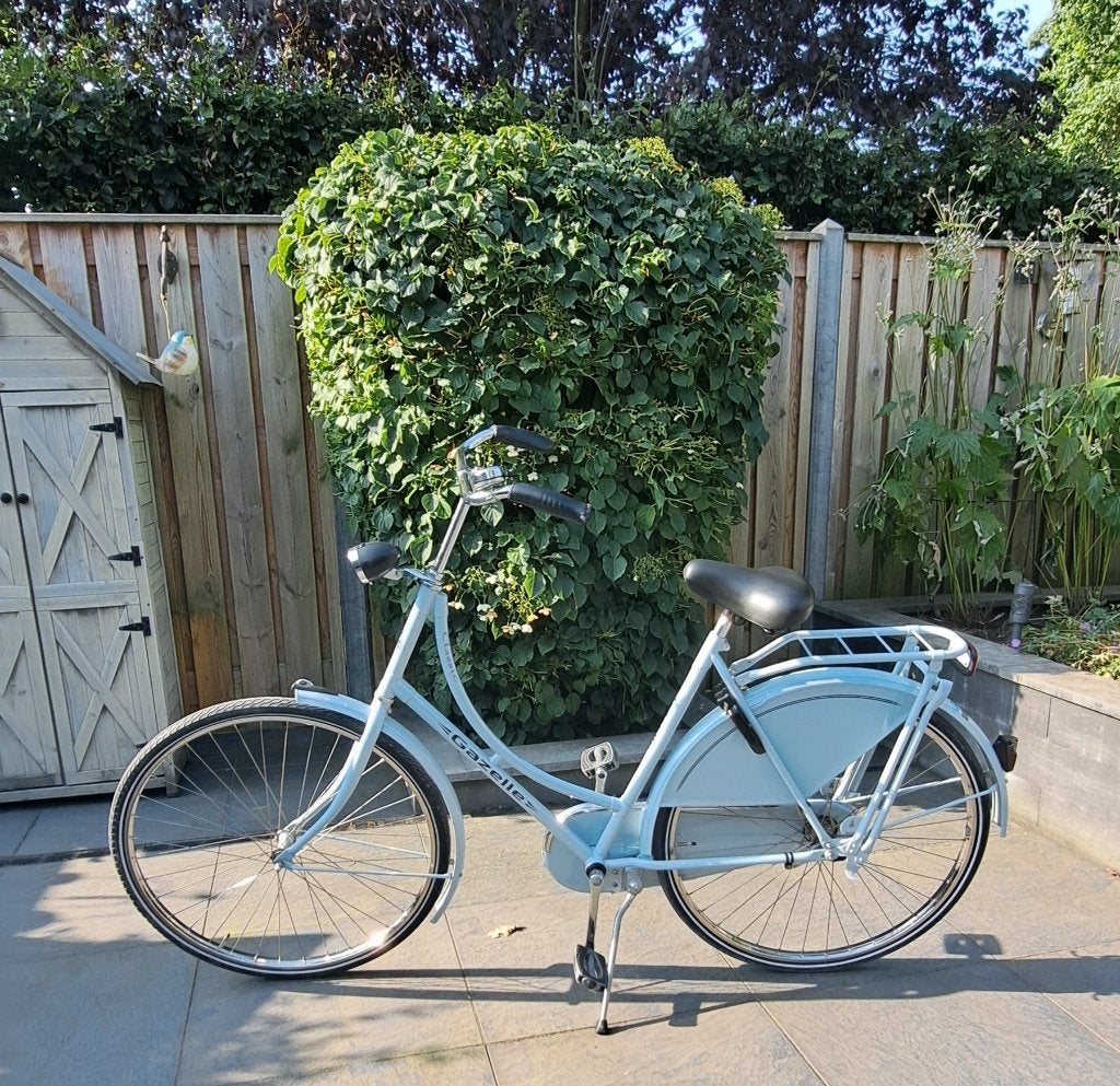 Gazelle classic omafiets, Fietsen en Brommers, Ophalen, Terugtraprem, 56 cm of meer, Zo goed als nieuw