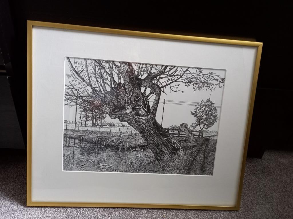 Ingelijste Pentekening, Ophalen of Verzenden
