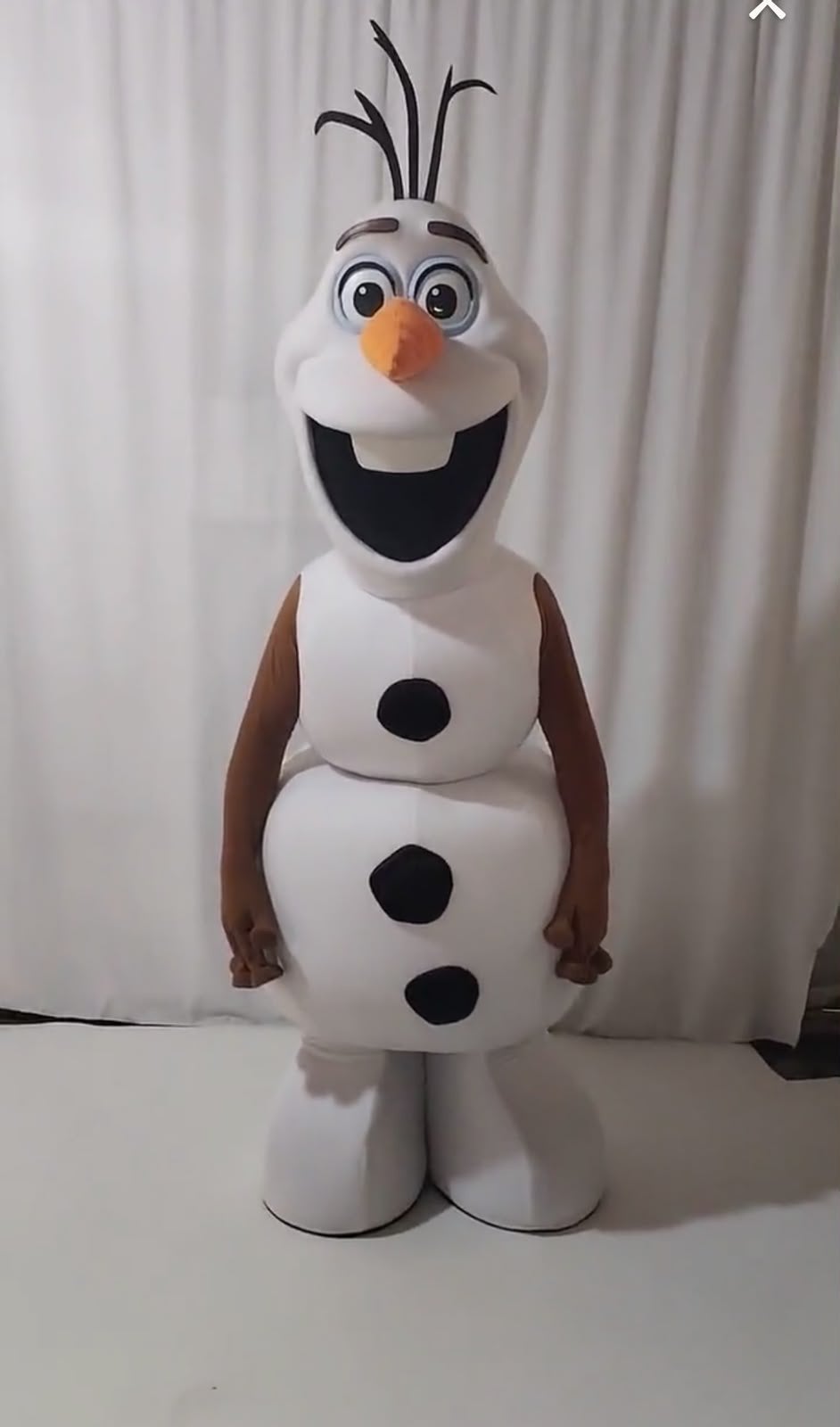 OLAF MASCOTTE VERHUUR, Ophalen of Verzenden, Zo goed als nieuw, Verjaardag