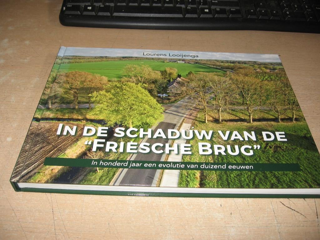Lourens Looijenga     In de schaduw van de Friesche brug, Ophalen of Verzenden, Zo goed als nieuw
