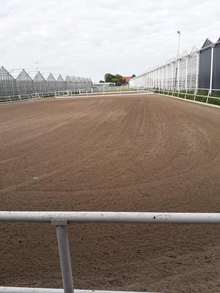 Box te huur, Dieren en Toebehoren, Stalling en Weidegang, Weidegang