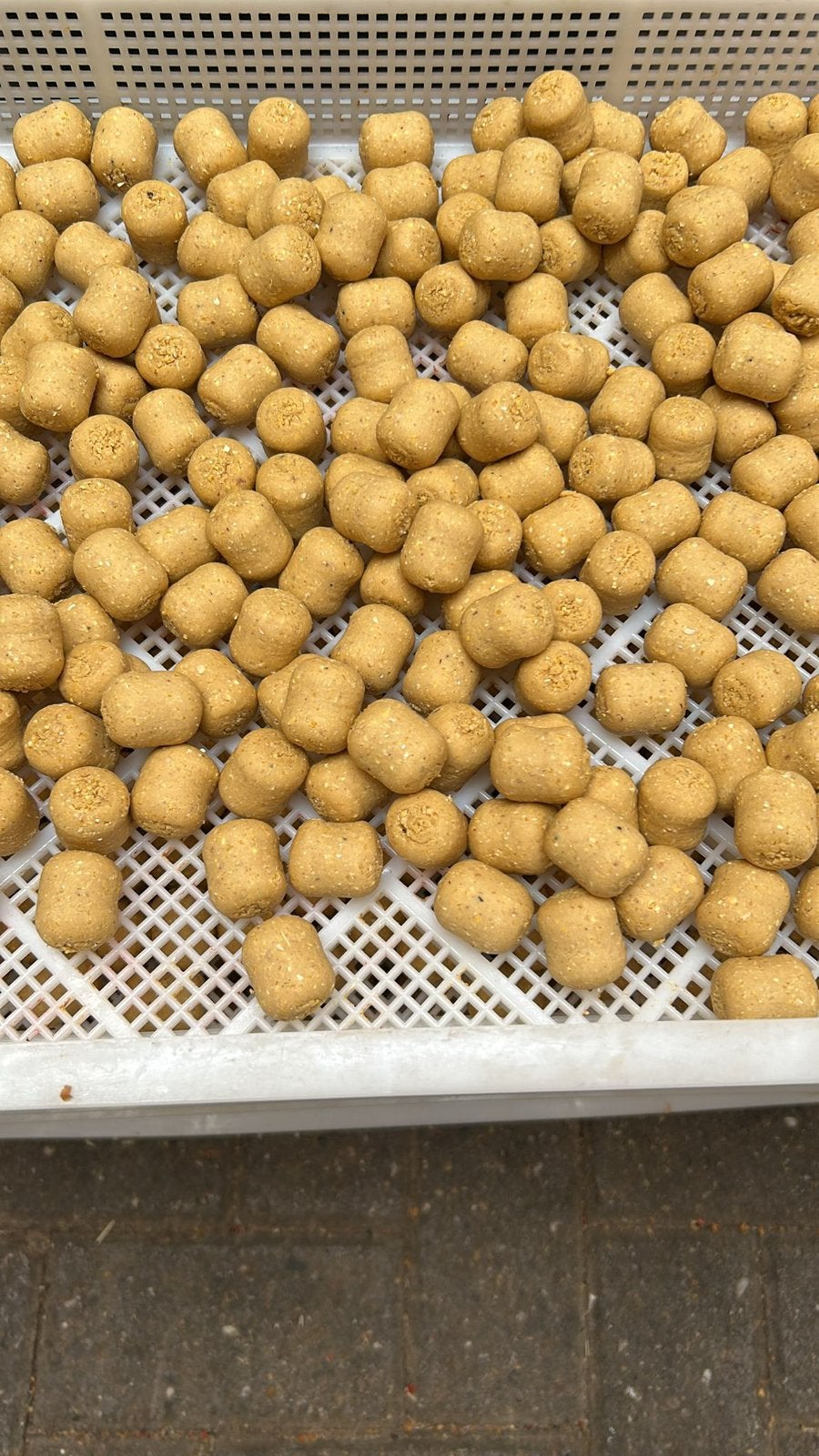 Rivier / groot water Boilies goedkoop 🌊💰, Watersport en Boten, Ophalen of Verzenden, Nieuw, Overige typen