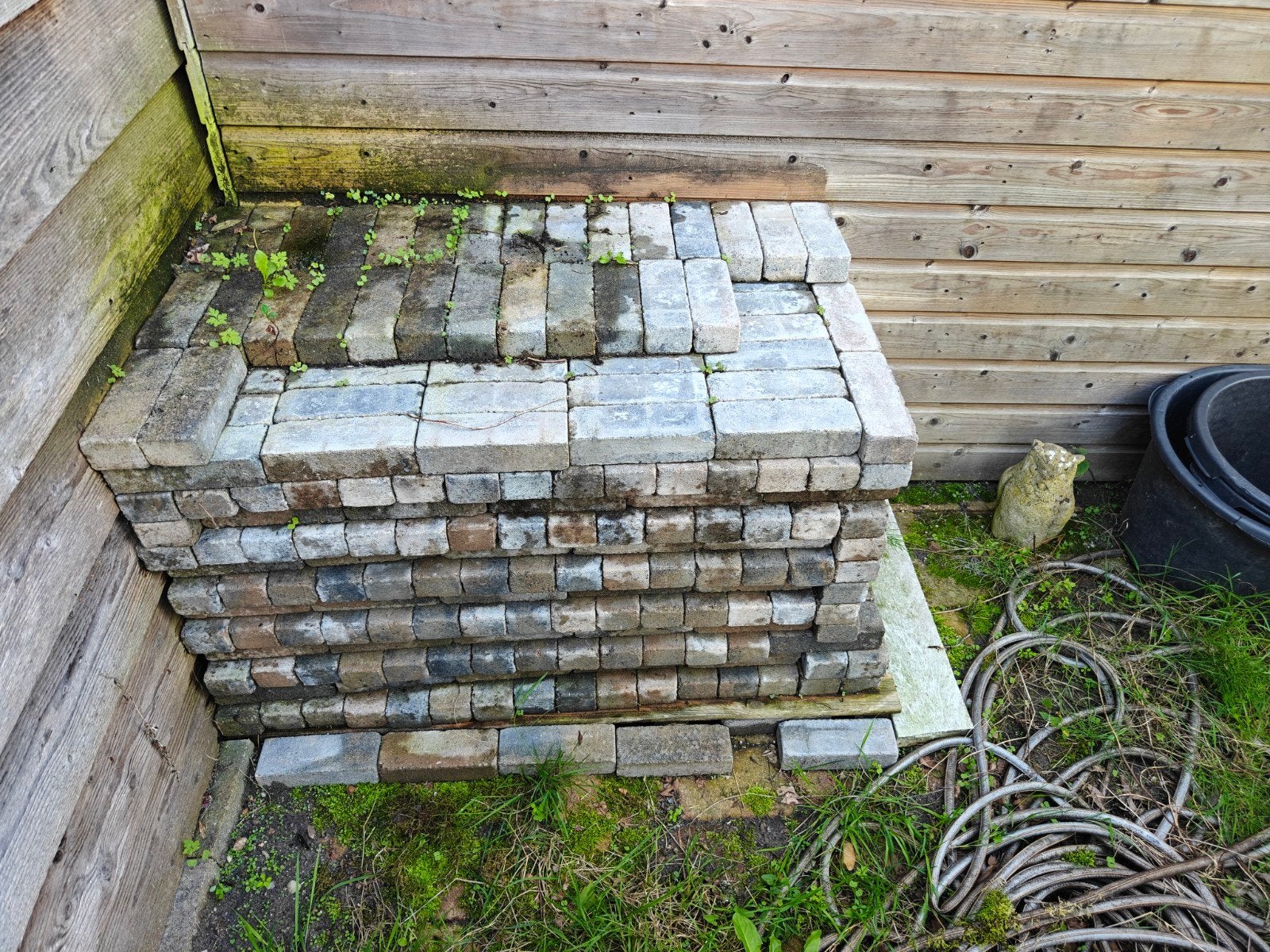 600 tegels 20x7x5 cm te koop, Tuin en Terras, Ophalen, Nieuw, Beton, Terrastegels