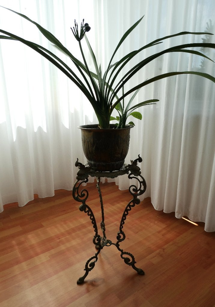 Antieke Messing Plantentafel - Plantenstandaard, Ophalen