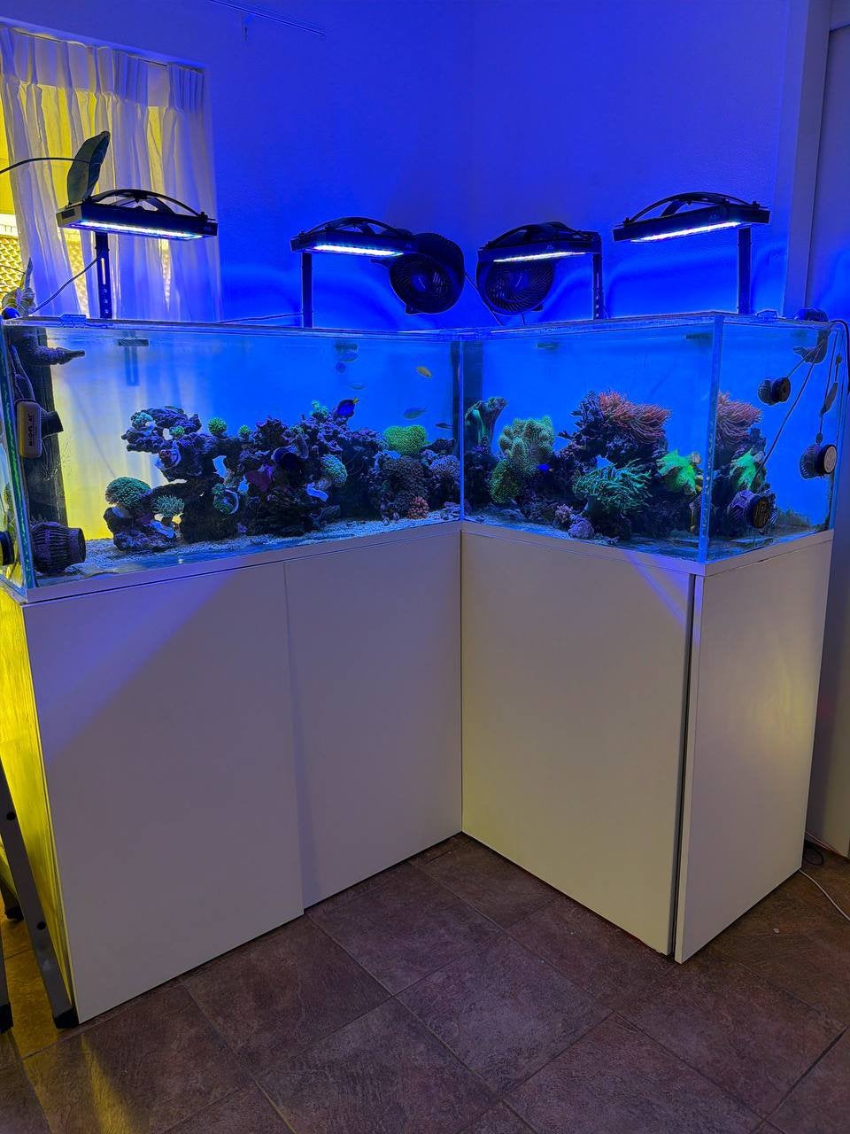 Zee aquarium 800 liter compleet, Dieren en Toebehoren, Vissen | Aquaria en Toebehoren, Ophalen, Gevuld zeewateraquarium, Gebruikt