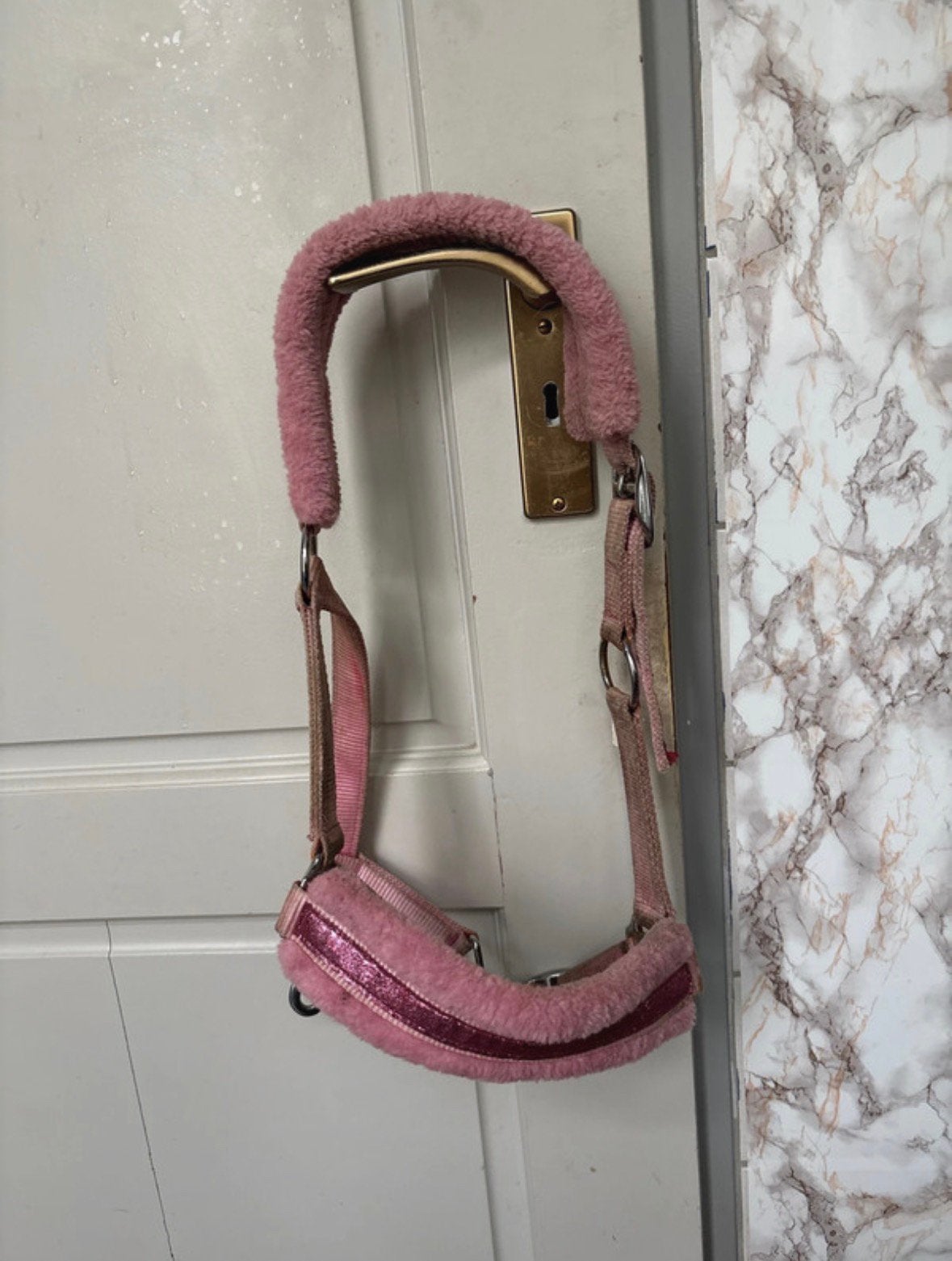 Roze bond glitter halster, Dieren en Toebehoren, Paarden en Pony's | Hoofdstellen en Tuigage, Ophalen of Verzenden, Zo goed als nieuw