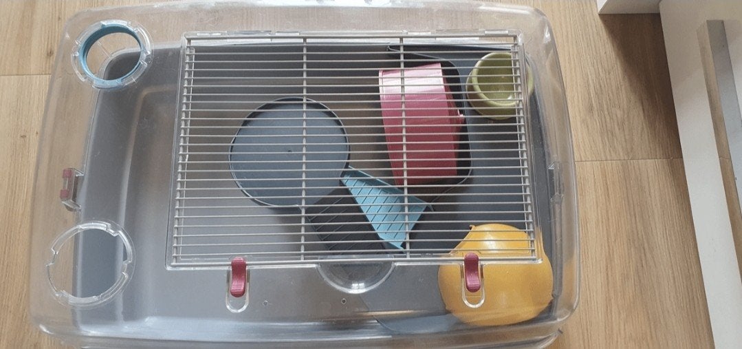 Gratis hamsterkooi, Minder dan 60 cm, Kooi, Minder dan 75 cm, Ophalen of Verzenden