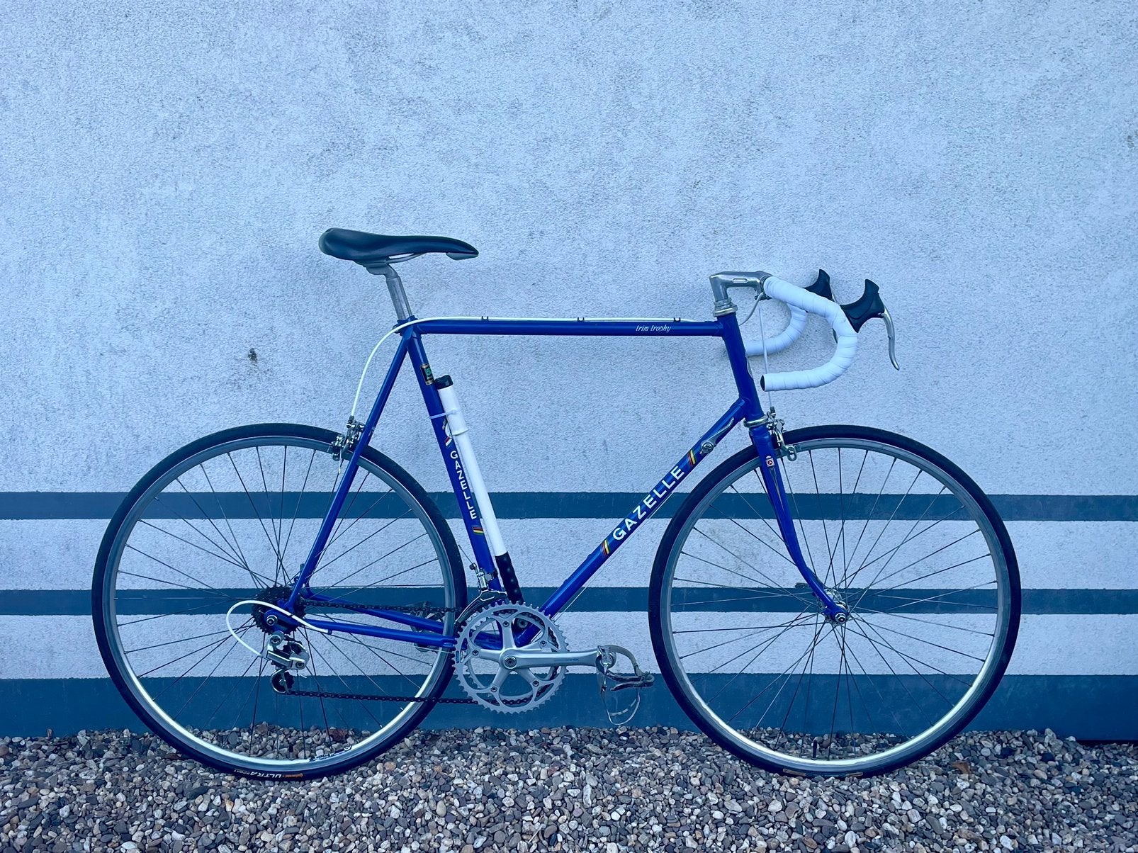 Gazelle Trim Trophy, 59 cm of meer, Ophalen, Velgrem