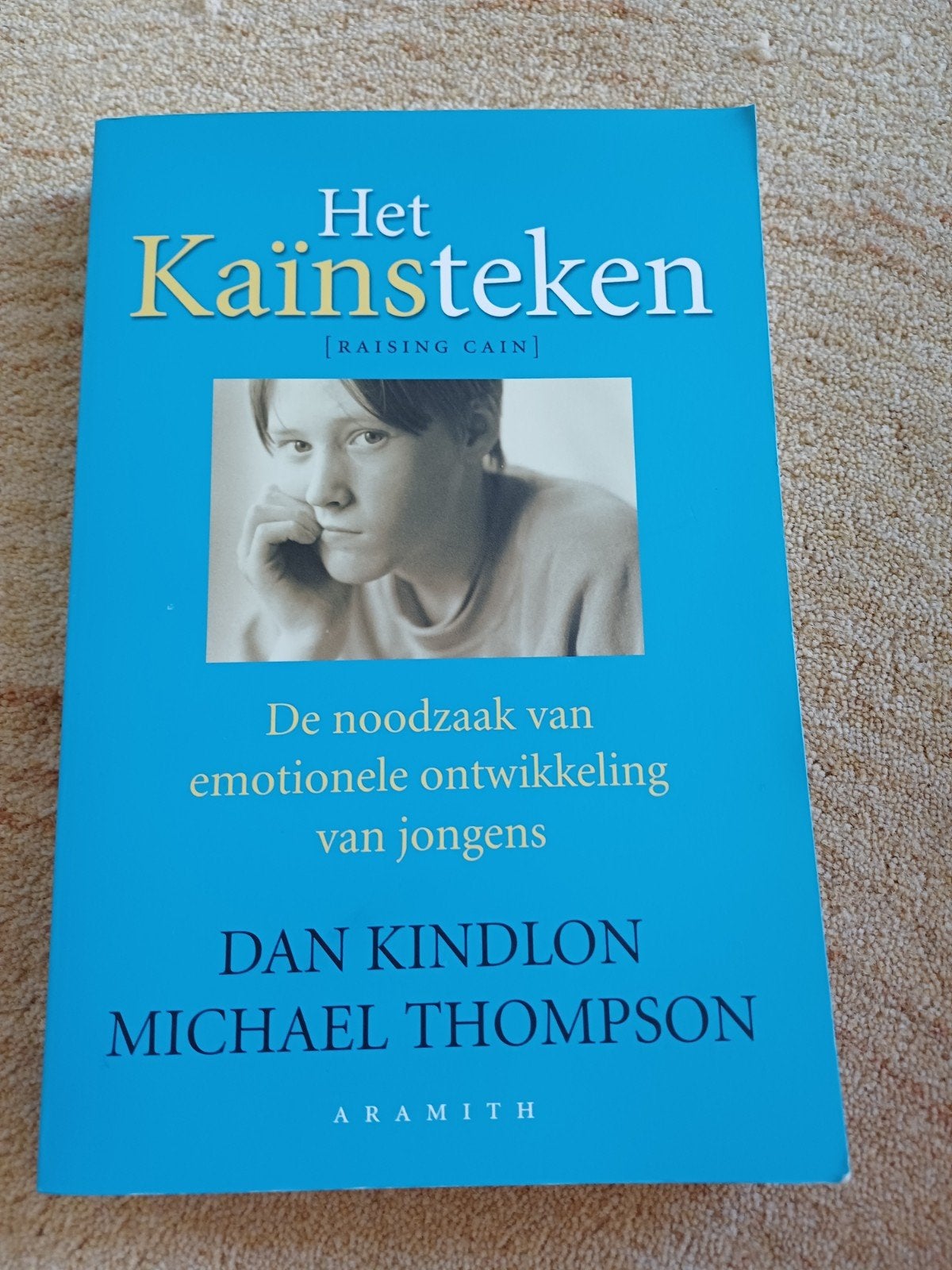 D. Kindlon - Het Kainsteken, D. Kindlon; M. Thompson, Ophalen of Verzenden, Ontwikkelingspsychologie, Zo goed als nieuw