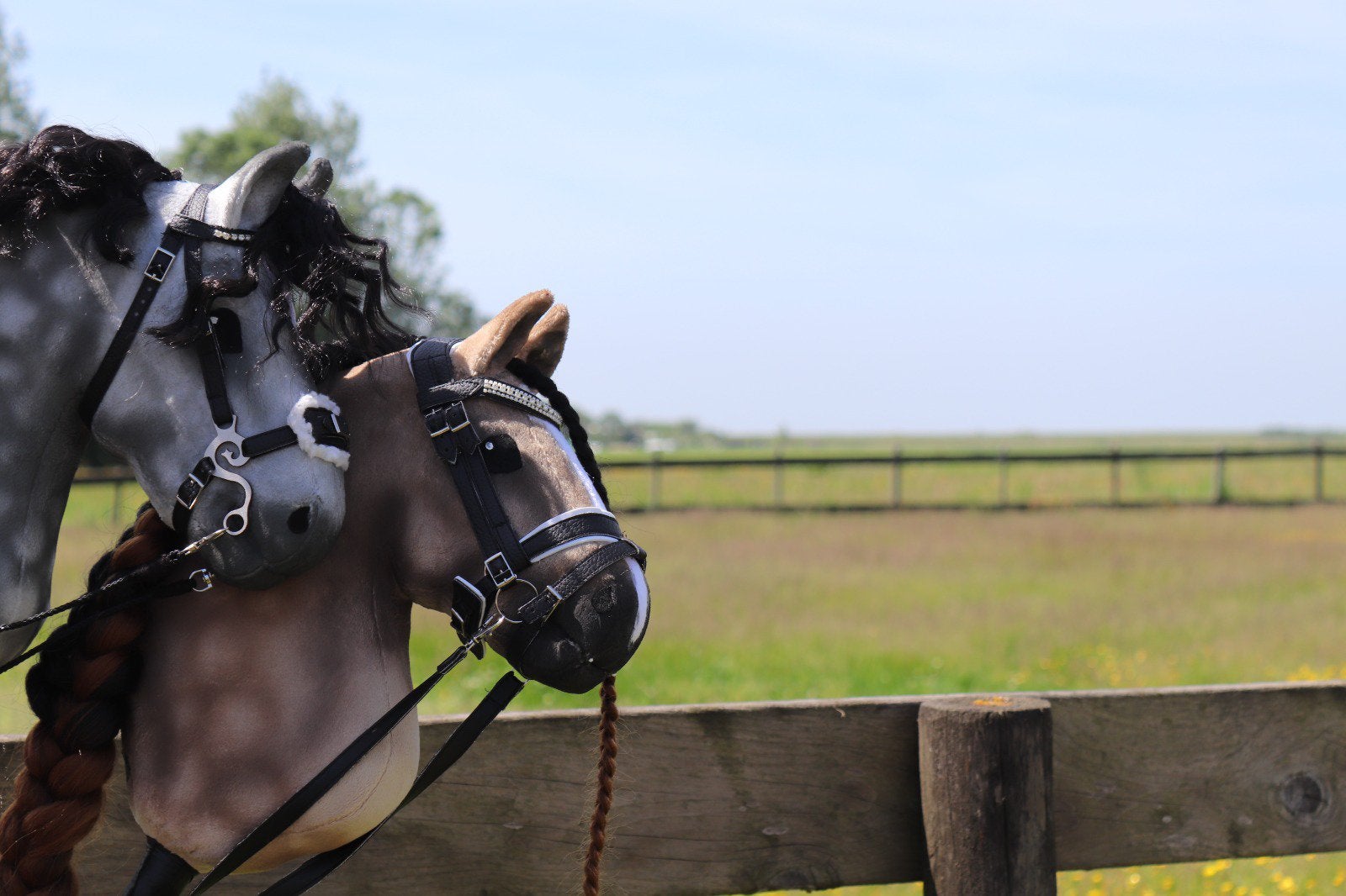 Prachtige professionele hobbyhorse, Ophalen of Verzenden, Nieuw