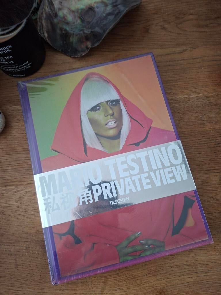 Mario testino fotoboek private view lady gaga cover, Verzenden, Nieuw, Overige onderwerpen