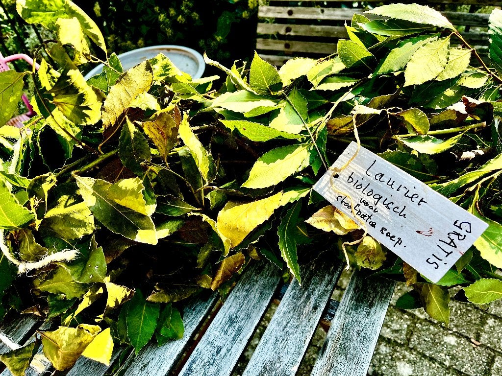 laurier biologisch culinair, Ophalen