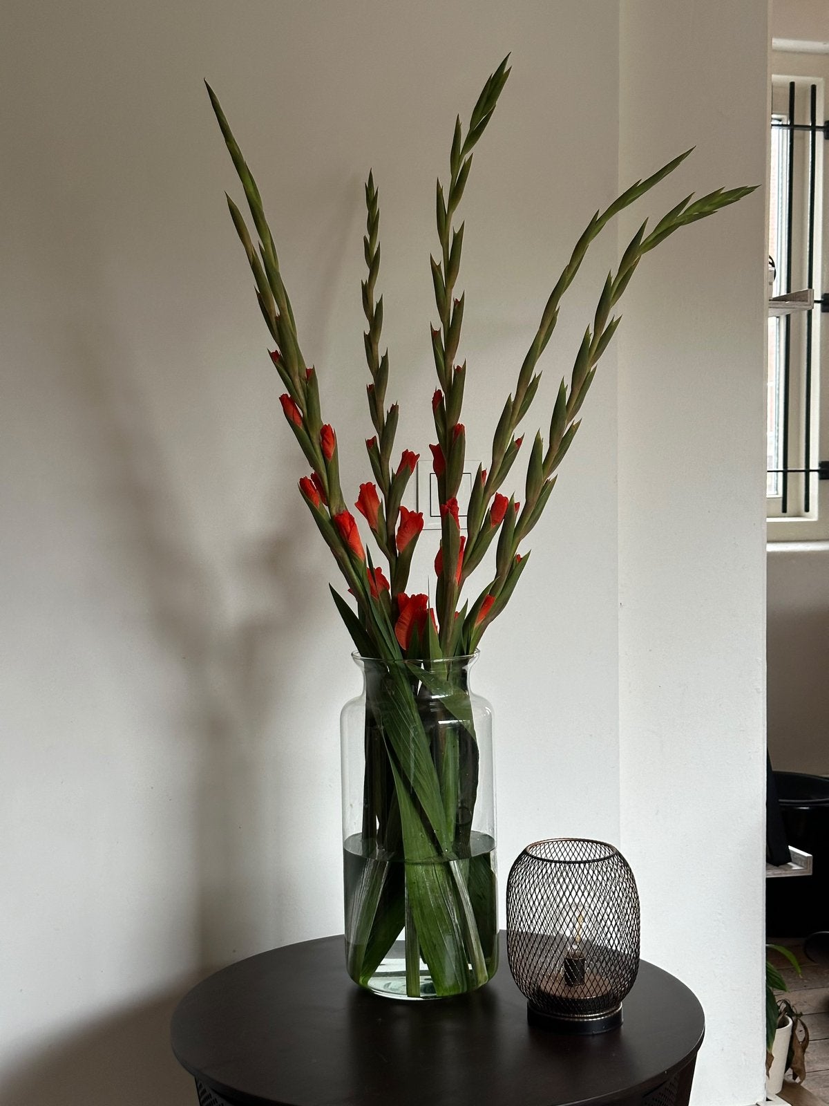 2 grote glazen vazen / windlichten – helder glas, Ophalen, Zo goed als nieuw, Glas