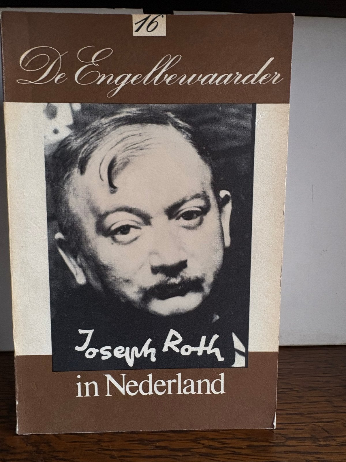 De Engelbewaarder - Joseph Roth in Nederland, Boeken, Ophalen of Verzenden, Gelezen, Nederland