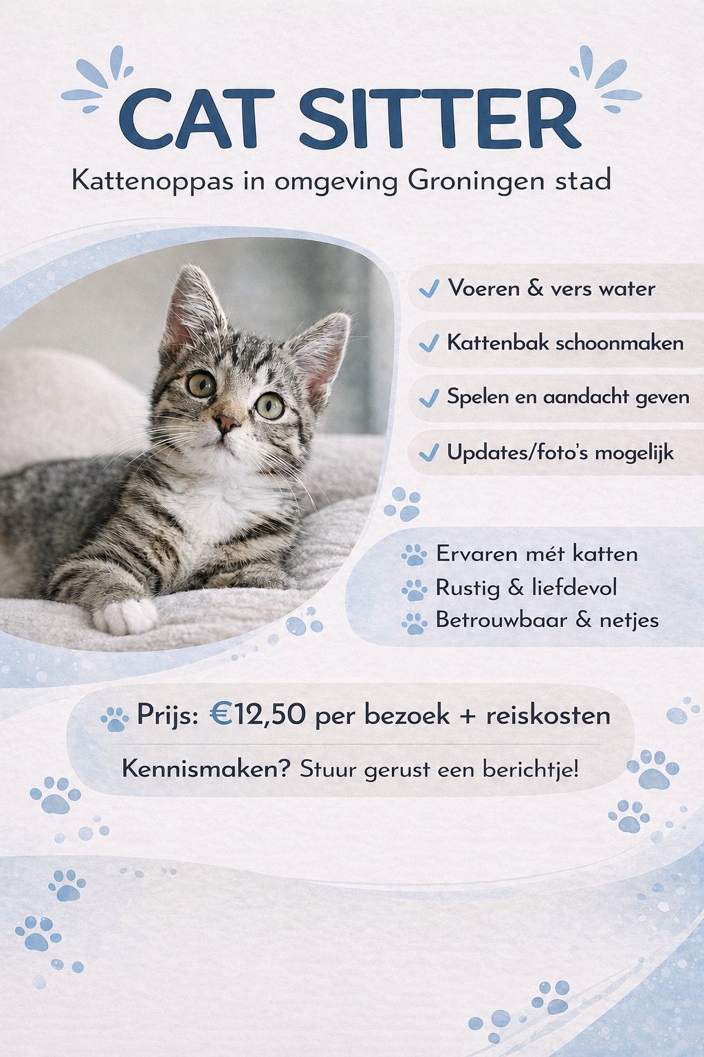 Katten oppas Groningen stad, Dieren en Toebehoren, Ophalen of Verzenden, Zo goed als nieuw