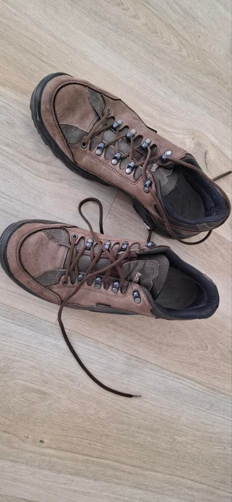 Lowa Gore-Tex wandelschoenen - Maat 45, Sport en Fitness, Bergsport en Wandelen, Gebruikt, Schoenen, Ophalen of Verzenden