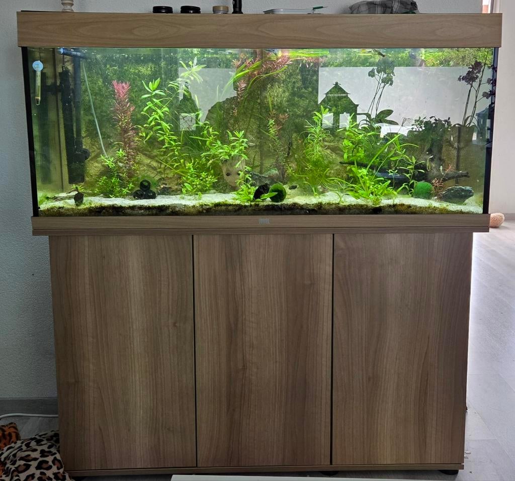 Juwel 240 te koop, Ophalen, Zo goed als nieuw, Leeg aquarium