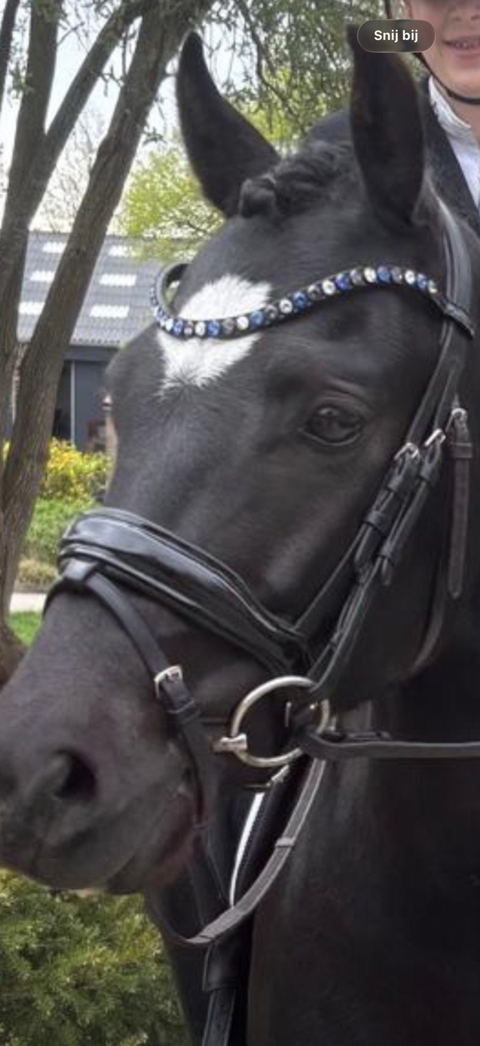 TESS Frontriem pony maat, Swarovski, Ophalen of Verzenden, Zo goed als nieuw