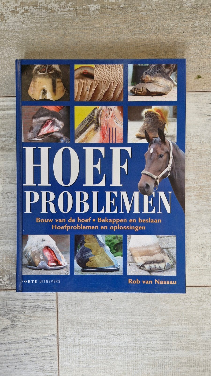 Hoefproblemen: Bouw, Bekappen, Beslaan & Oplossingen, Ophalen of Verzenden, Zo goed als nieuw, Paarden of Pony's, Rob van Nassau