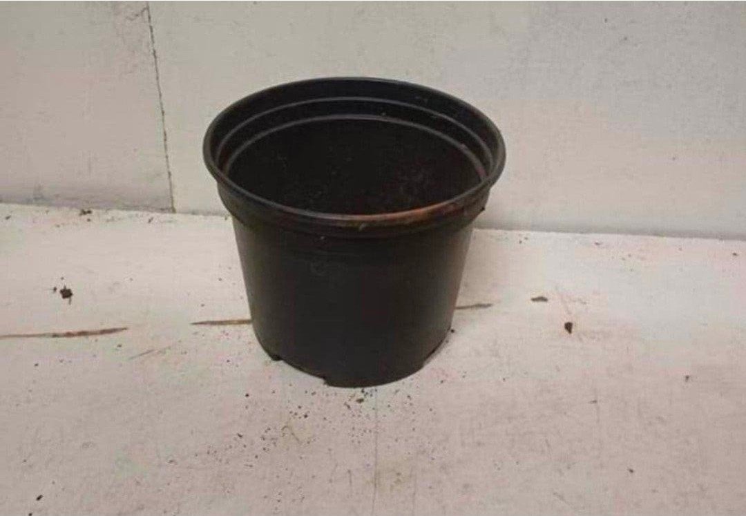kweekpotten plantenpotten bloempotten 2 liter, Kunststof, Gebruikt, Rond, Ophalen of Verzenden