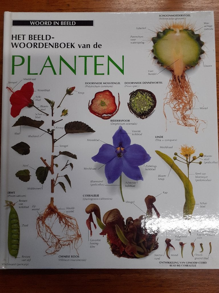 Het Beeldwoordenboek van de Planten, Boeken, Ophalen of Verzenden, Gelezen, Bloemen, Planten en Bomen