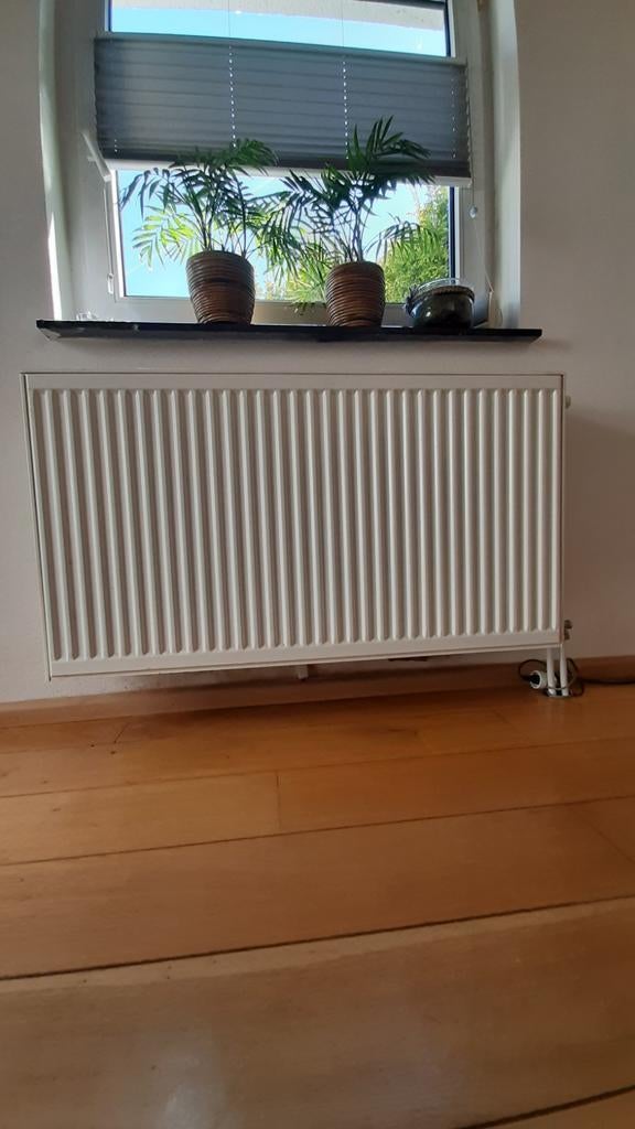 Stelrad Compact Paneelradiator Type 22 - 600x1000mm, Ophalen, 30 tot 80 cm, Radiator, Zo goed als nieuw