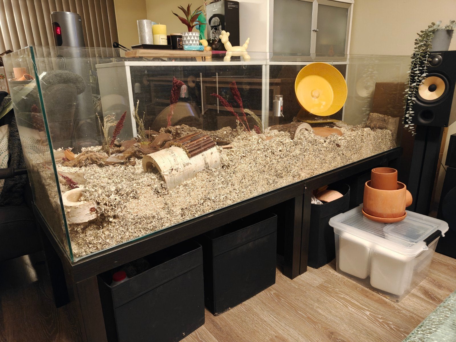 Hamster aquarium/ glazen bak 180*50*50 incl accesoires, Dieren en Toebehoren, 110 cm of meer, Zo goed als nieuw, Ophalen, Minder dan 60 cm
