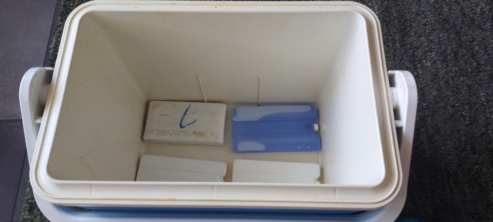 Koelbox met koelelementen - Ideaal voor uitjes!, Caravans en Kamperen, Ophalen, Gebruikt, Koelbox, Koelelement