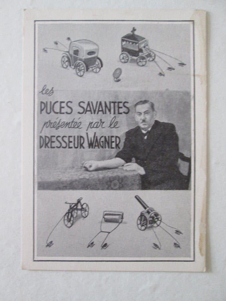 reclame van vlooientheater vlooiencircus circus kanon koets, Gebruikt, Ophalen of Verzenden, Voor 1940, Prent
