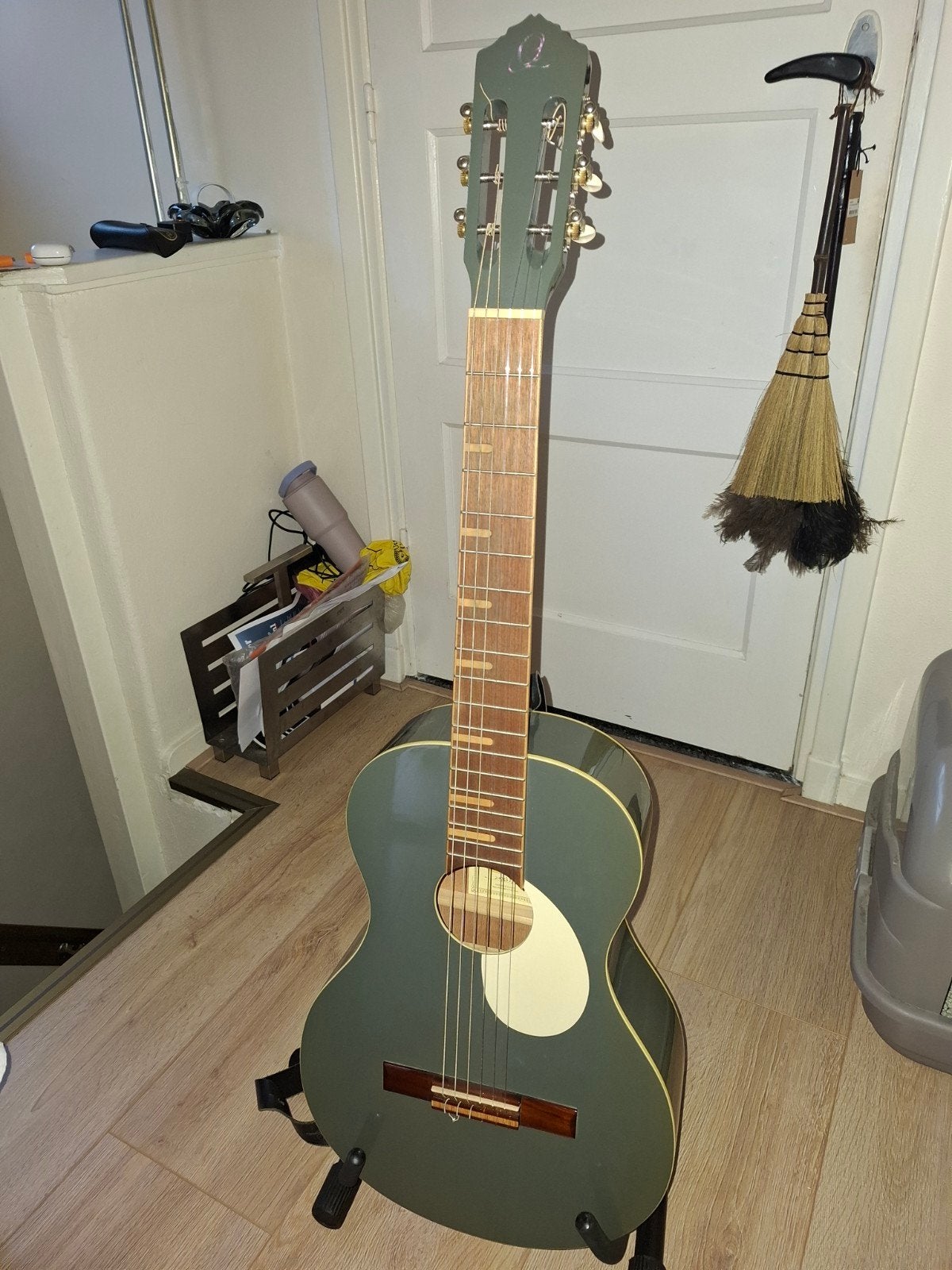 Ortega Gaucho Series RGA-PLT Klassieke Gitaar met hoes, Ophalen of Verzenden, Gebruikt, Klassieke of Spaanse gitaar, Met koffer