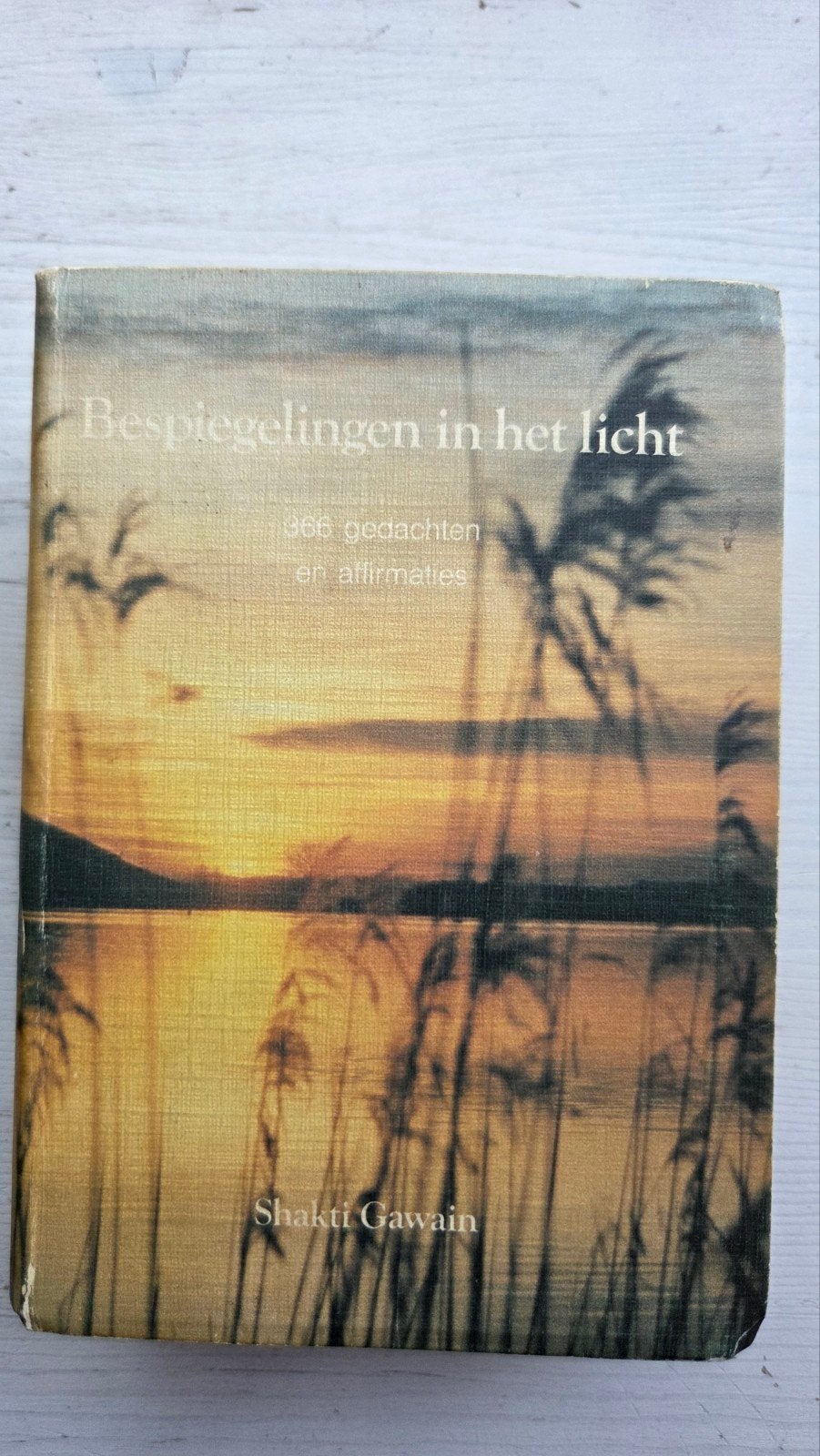 Bespiegelingen in het Licht - Shakti Gawain (Boek), Ophalen of Verzenden, Gelezen, Shakti Gawain, Nederland